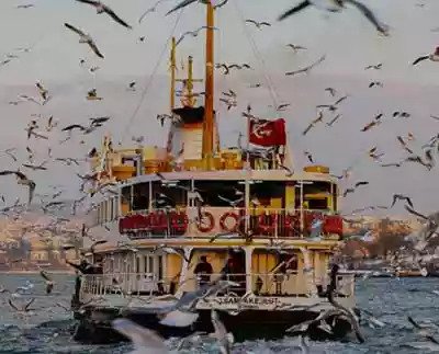 Şehir Hatları işletmesi web sitesi bakım ve editörlük işlerini devir aldık